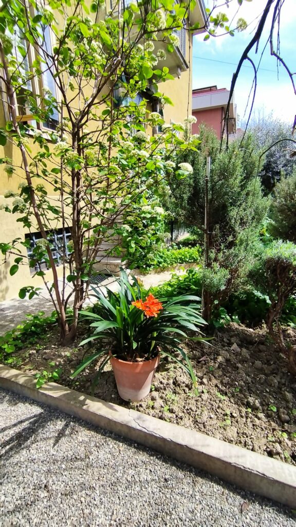 420f35bb-56c4-47e4-b883-f1db3082cc9a(1)