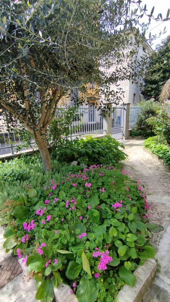 50675602-4e4d-4040-bb28-460eae882db8(1)