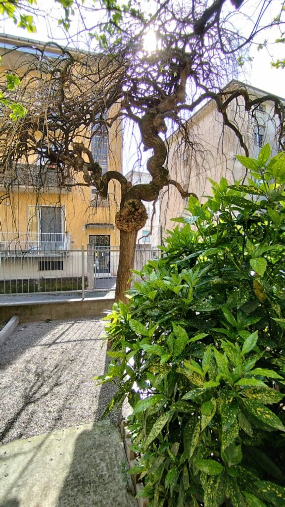 8d669a0e-d82e-43c8-8164-f63f07640688