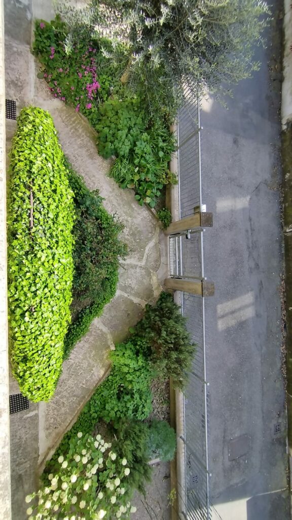 9c217134-010f-408d-951b-7a0914e09349(1)