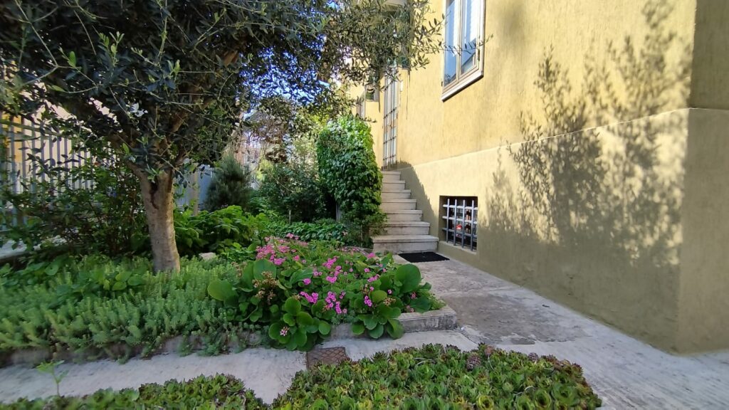 c191a552-5beb-454b-8158-6cc577e4e783(1)