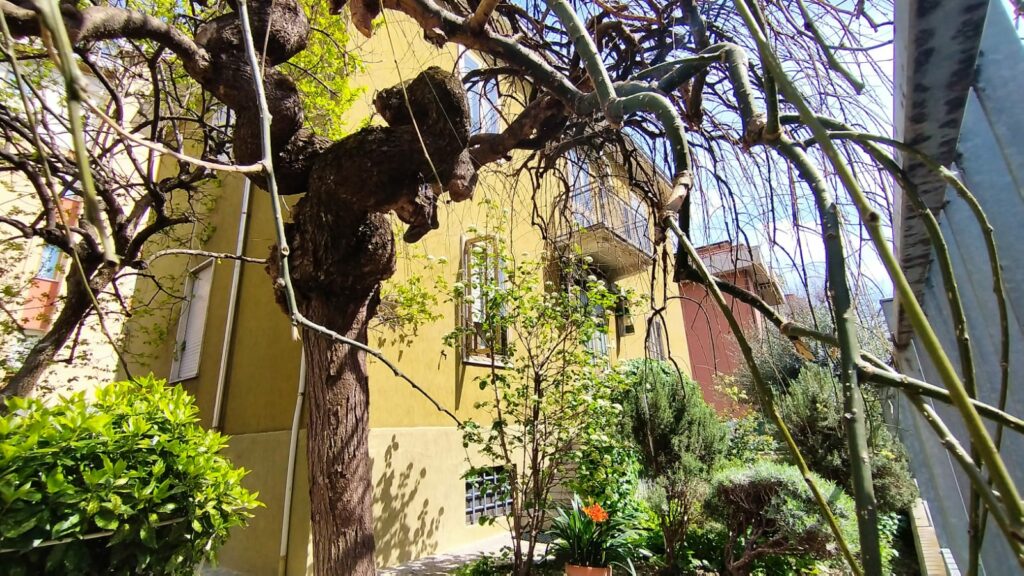 ca4bc03b-277a-49ba-8c10-ab14a3cd50ff(1)