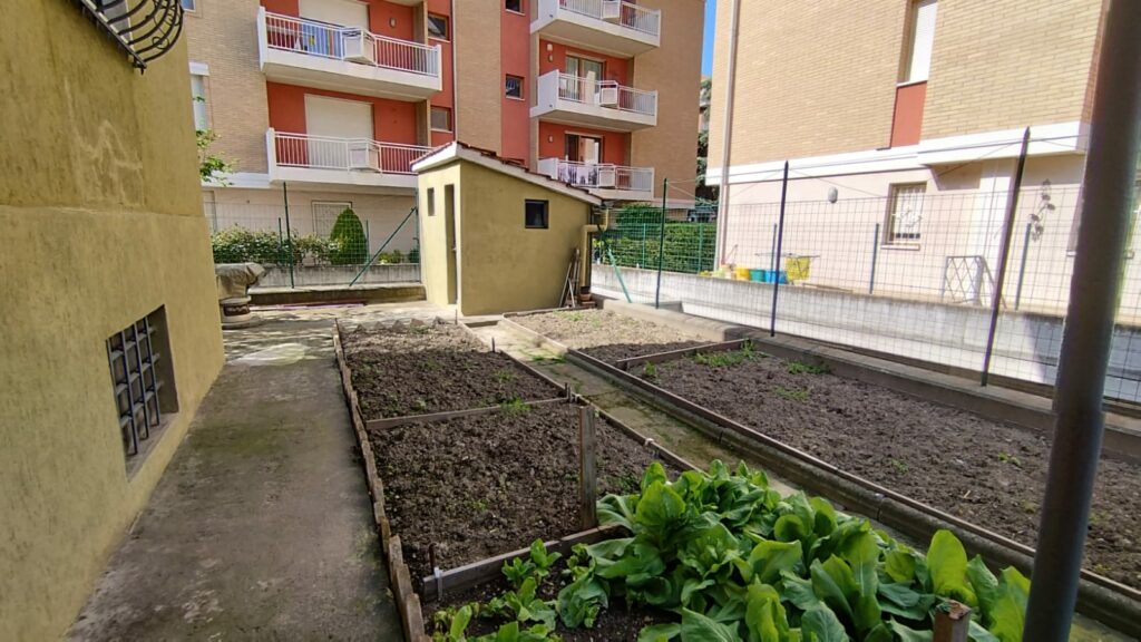 cb80707a-9930-4731-a79c-9d445266082b(1)