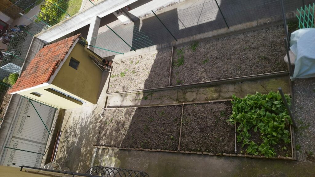 ea9d4363-6801-43c4-ae7c-31d1fbb4755c(1)