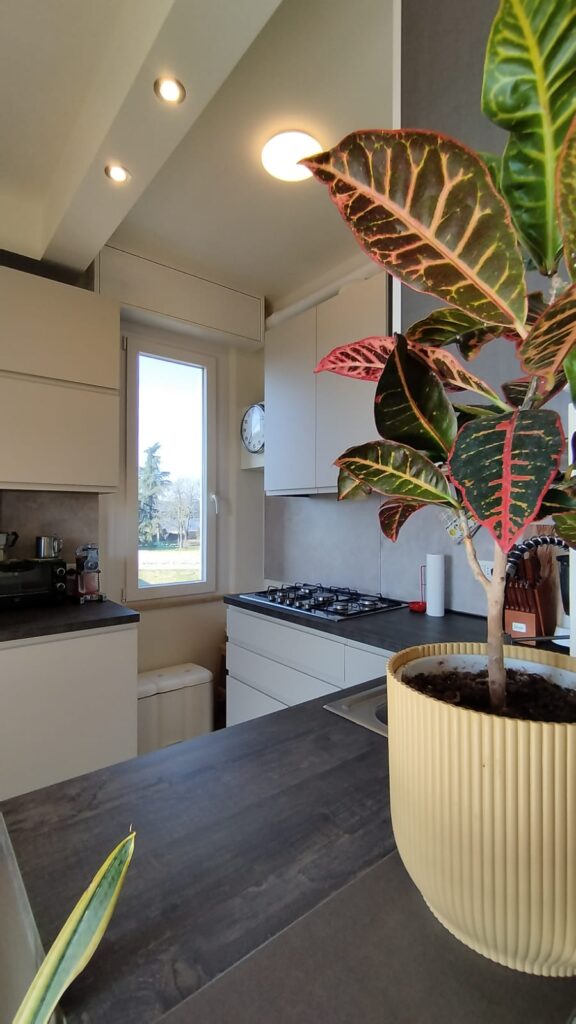 4c178eef-e2f7-4c79-8983-2422fc0c7a59-1