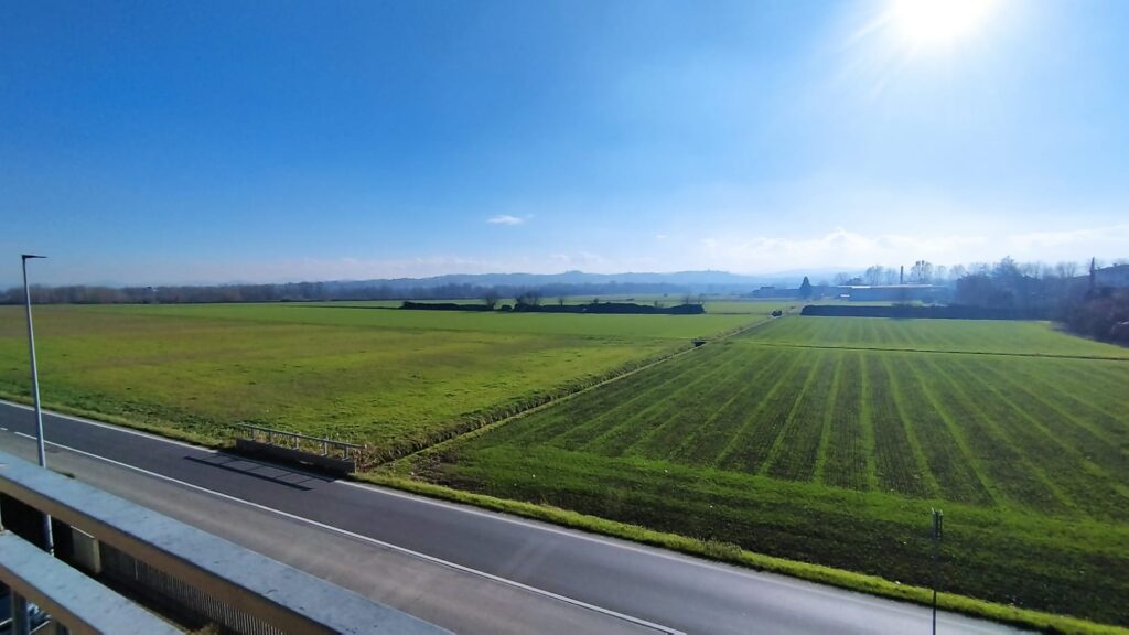 8cdf98f4-55fd-4d42-951f-16014f7c69df